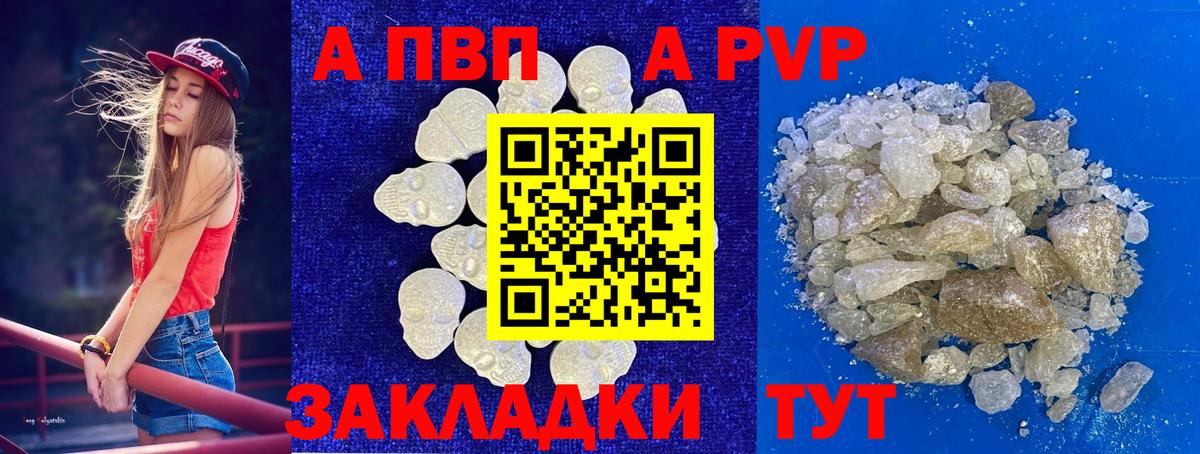А ПВП СК  Вход с VPN  Альфа ПВП СК КРИС  A-PVP крисы CK  Курганинск 